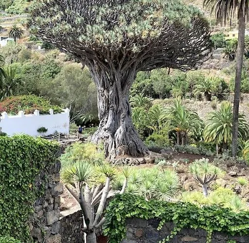 Icod Center Mit Garage